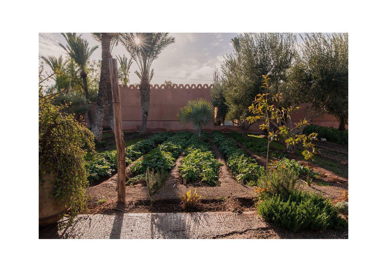 Villa 55 Marrakech Marrakesch Exterior foto
